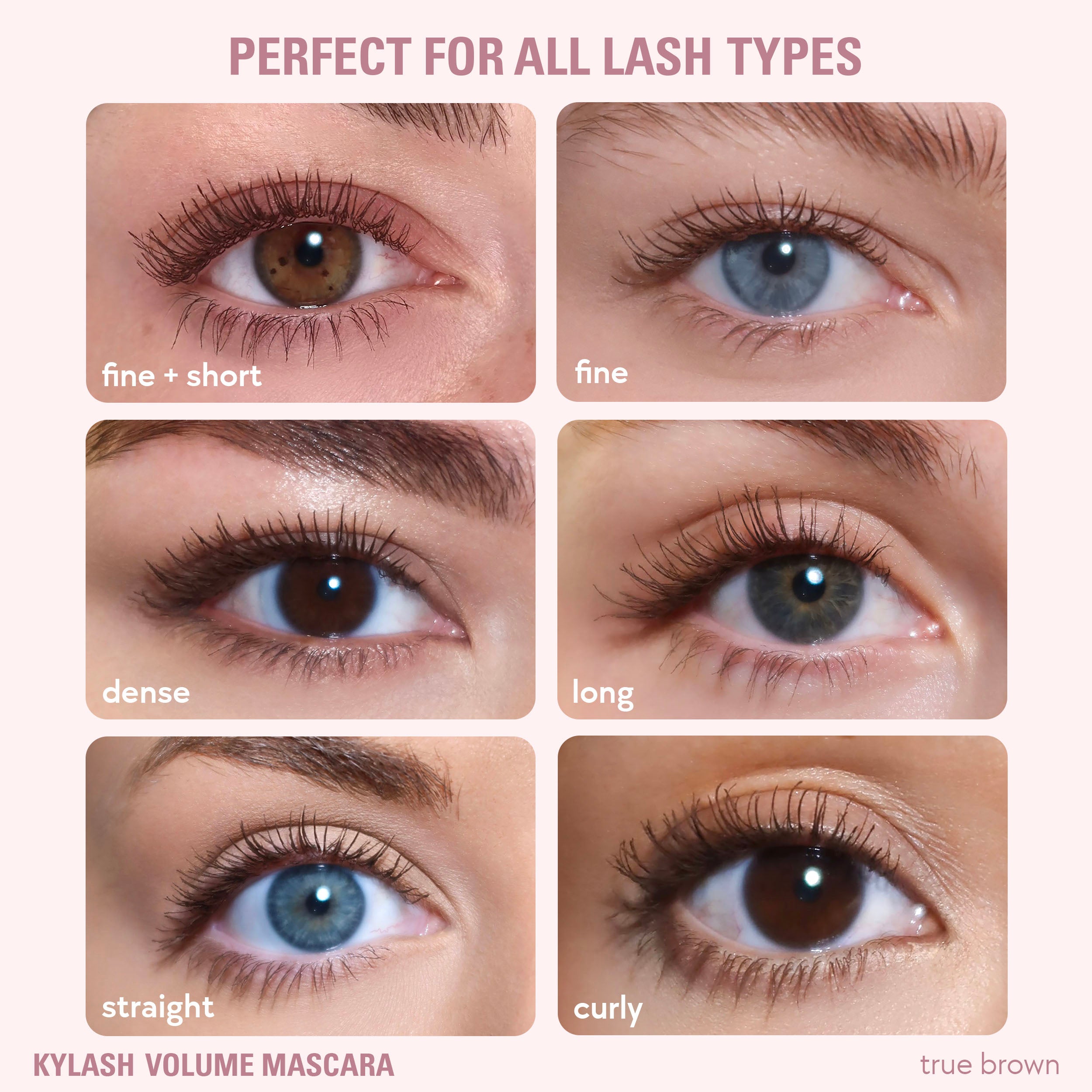 Kylash Volume Mascara & Classic Matte Palette Duo - Image 3
